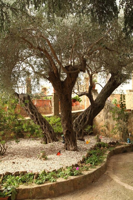 B&B Villa Casablanca Enna Kültér fotó